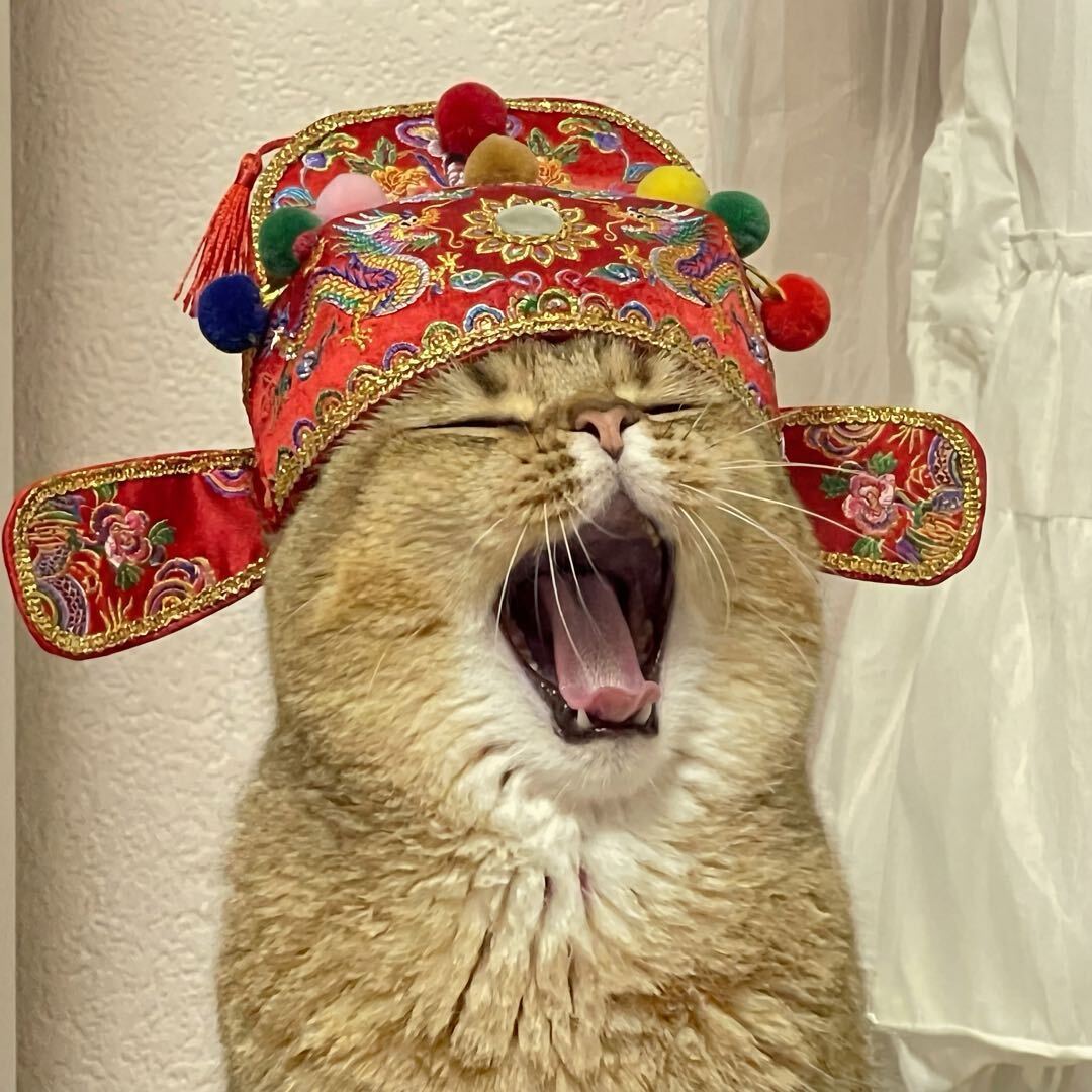 PeiXy_J