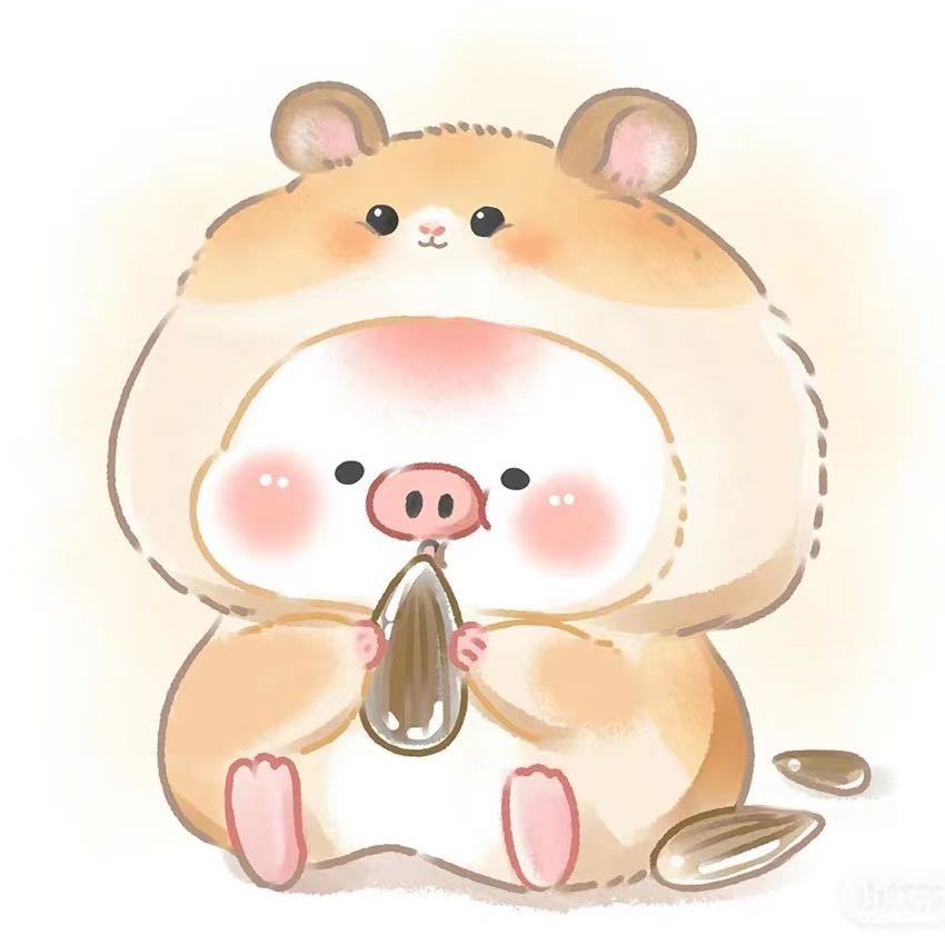 仓鼠🐹管理员