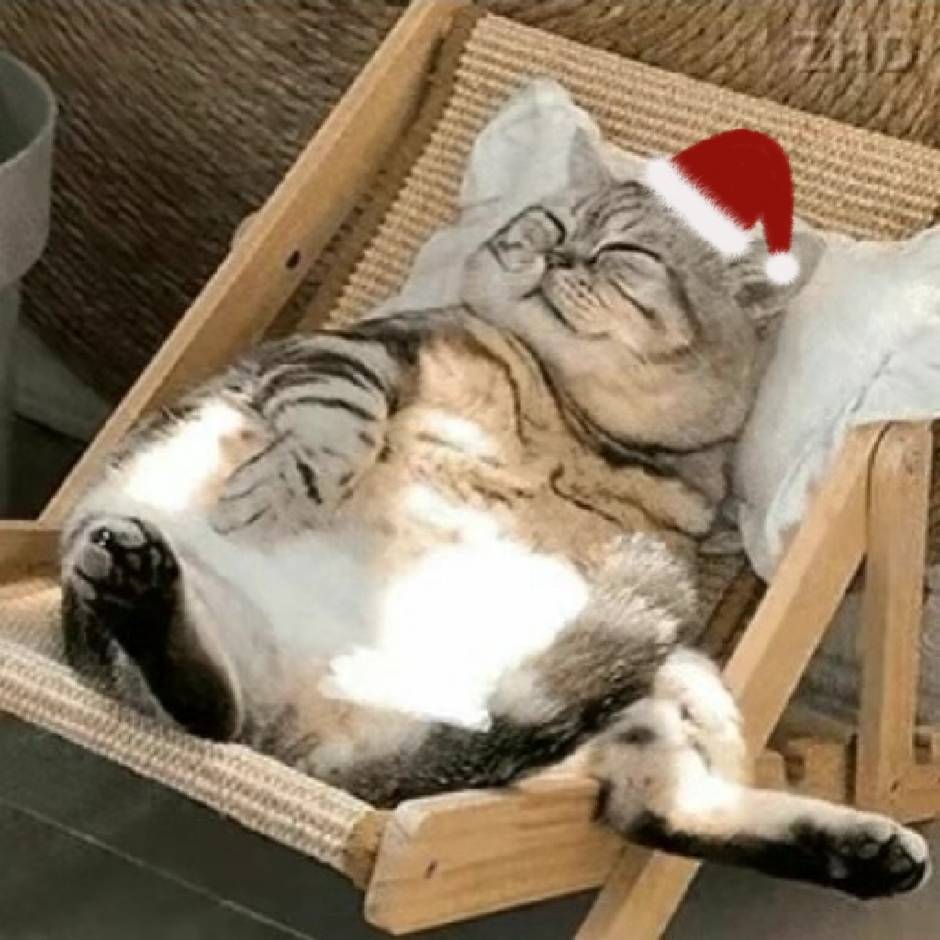 sshnuke史努克亲王