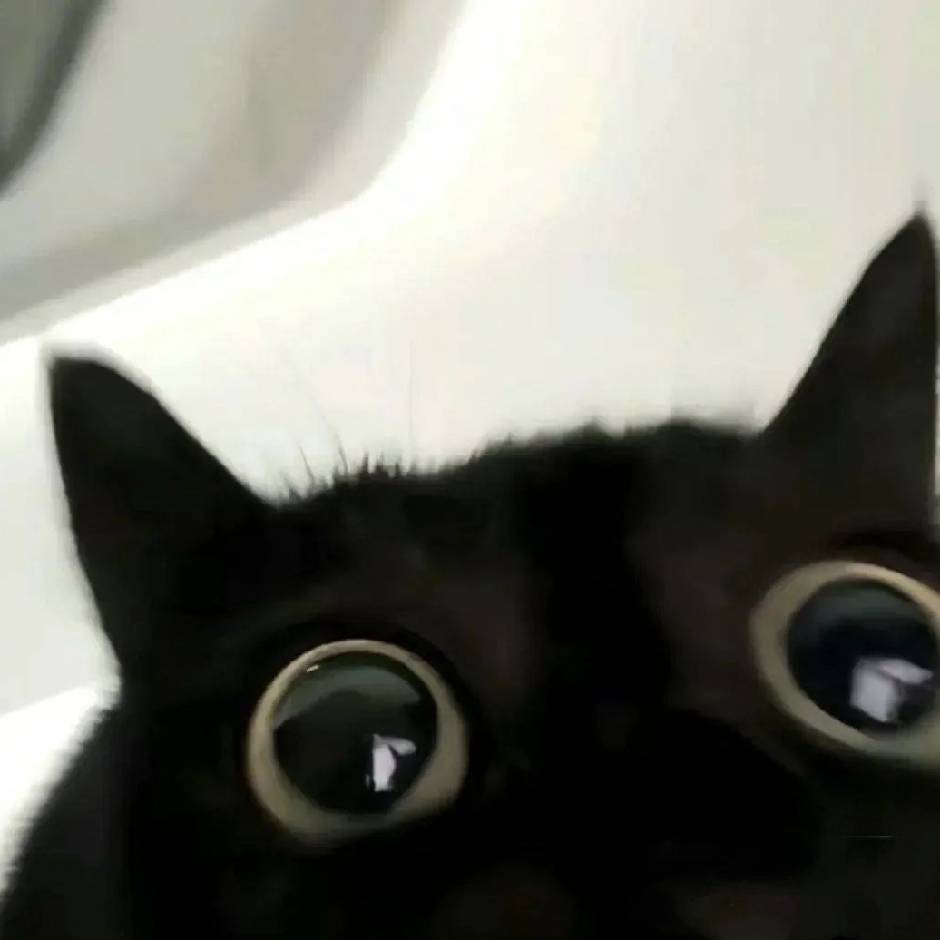 肆.