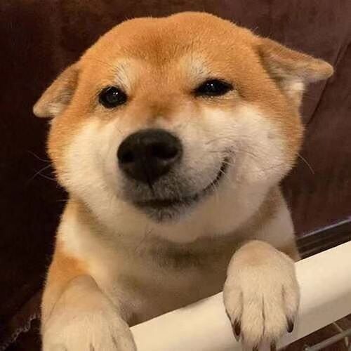 明月