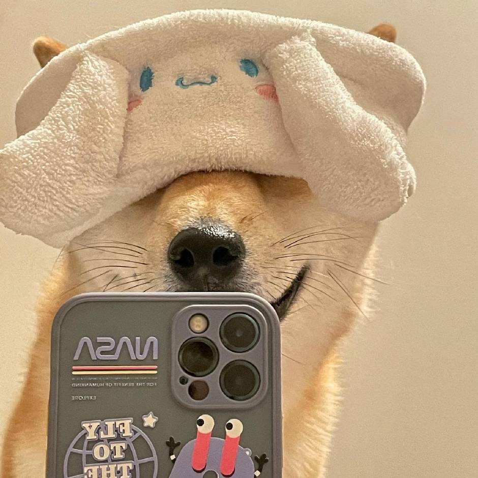 廿卄
