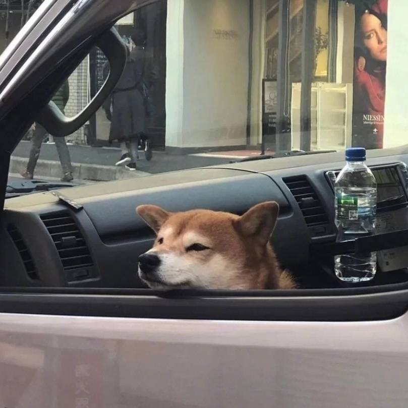 其月望