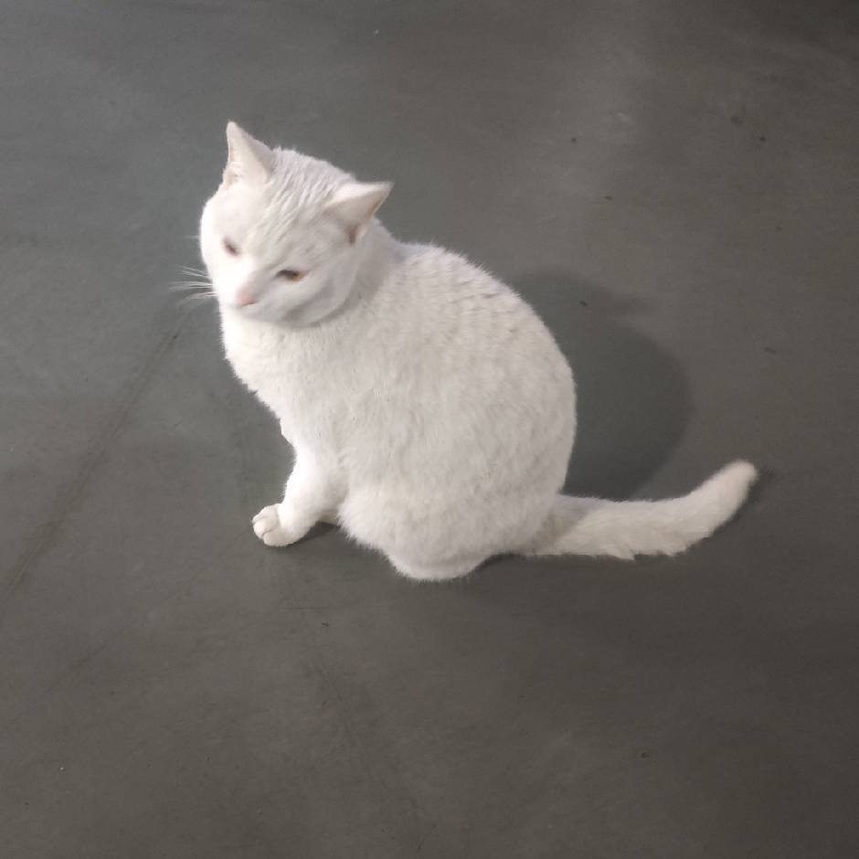 余味长留