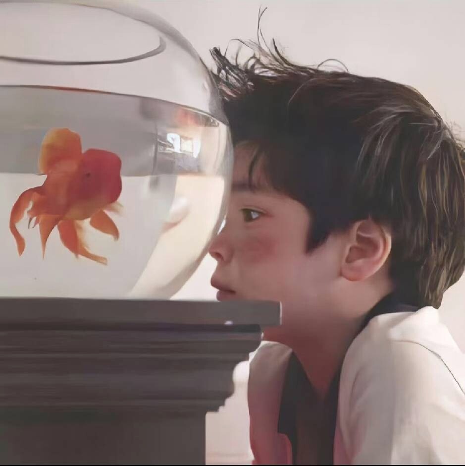 surpriseW-7_ᨏᨏོ 🐈ᐝ